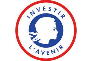Logo "Investir l'avenir"